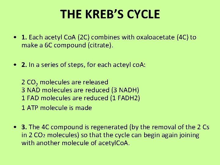 THE KREB’S CYCLE • 1. Each acetyl Co. A (2 C) combines with oxaloacetate THE KREB’S CYCLE • 1. Each acetyl Co. A (2 C) combines with oxaloacetate
