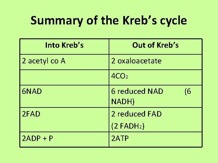 Summary of the Kreb’s cycle Into Kreb’s 2 acetyl co A Out of Kreb’s Summary of the Kreb’s cycle Into Kreb’s 2 acetyl co A Out of Kreb’s