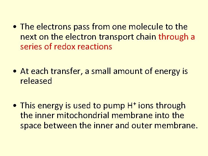 • The electrons pass from one molecule to the next on the electron • The electrons pass from one molecule to the next on the electron