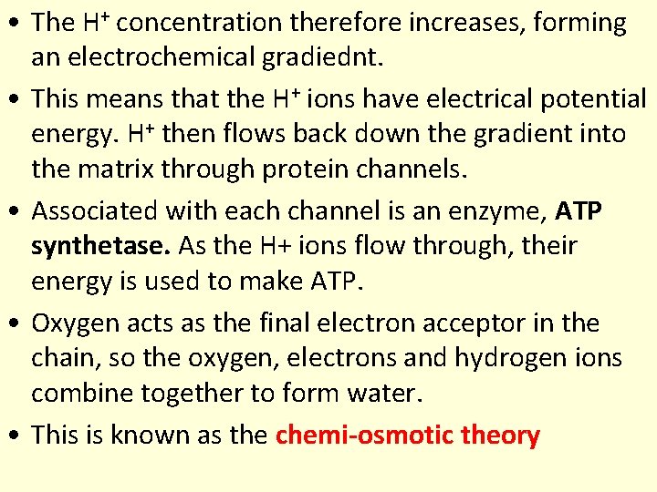 • The H+ concentration therefore increases, forming an electrochemical gradiednt. • This means • The H+ concentration therefore increases, forming an electrochemical gradiednt. • This means