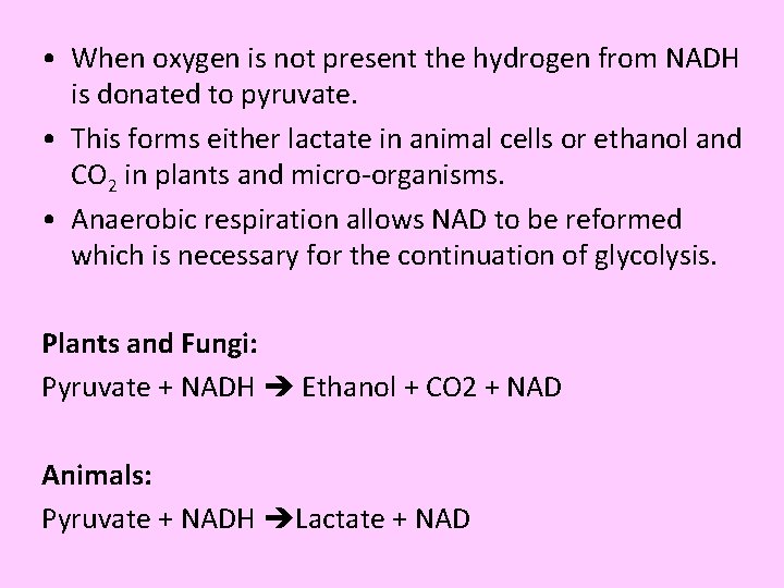 • When oxygen is not present the hydrogen from NADH is donated to • When oxygen is not present the hydrogen from NADH is donated to