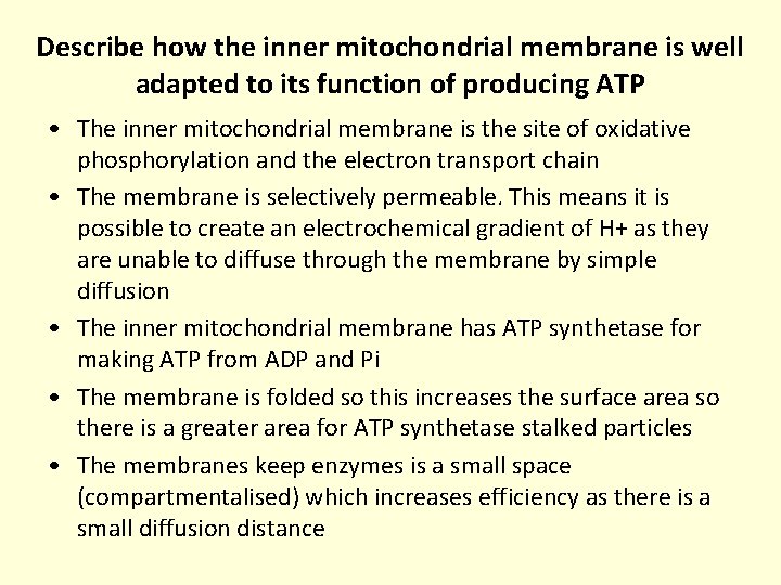 Describe how the inner mitochondrial membrane is well adapted to its function of producing Describe how the inner mitochondrial membrane is well adapted to its function of producing