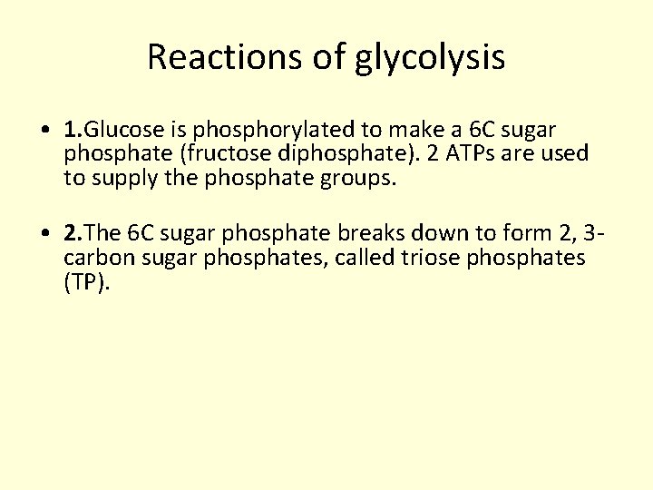 Reactions of glycolysis • 1. Glucose is phosphorylated to make a 6 C sugar Reactions of glycolysis • 1. Glucose is phosphorylated to make a 6 C sugar