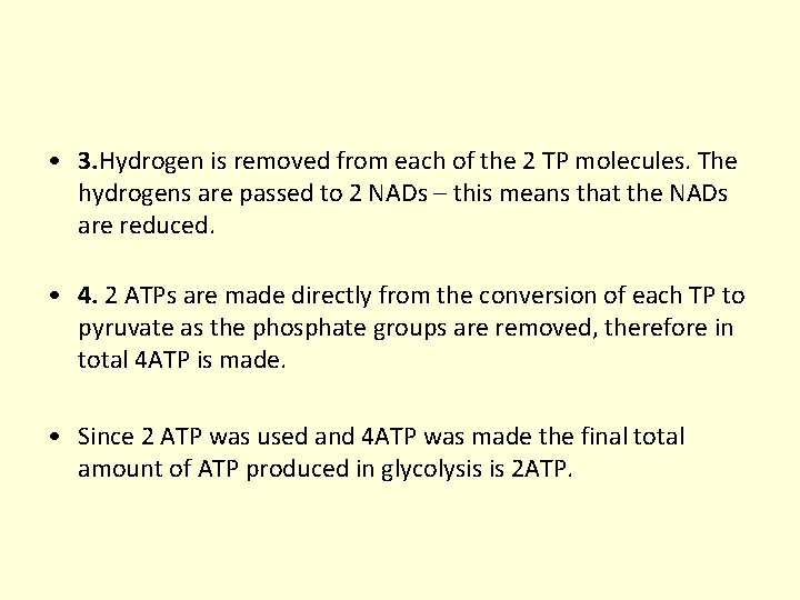 • 3. Hydrogen is removed from each of the 2 TP molecules. The • 3. Hydrogen is removed from each of the 2 TP molecules. The