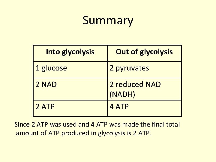 Summary Into glycolysis Out of glycolysis 1 glucose 2 pyruvates 2 NAD 2 reduced Summary Into glycolysis Out of glycolysis 1 glucose 2 pyruvates 2 NAD 2 reduced