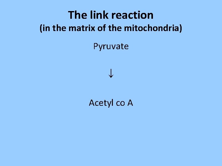 The link reaction (in the matrix of the mitochondria) Pyruvate Acetyl co A The link reaction (in the matrix of the mitochondria) Pyruvate Acetyl co A