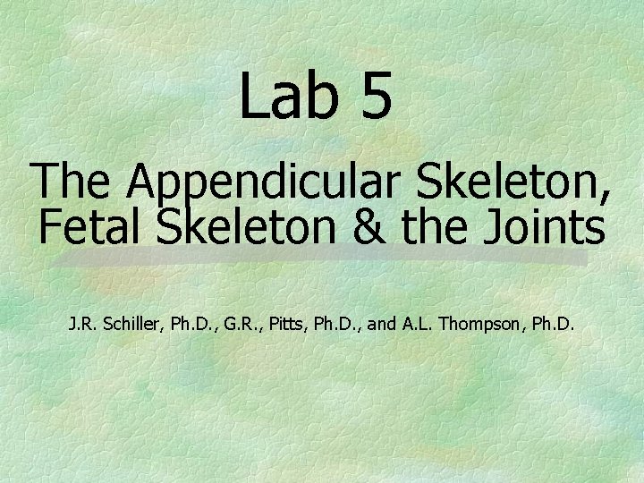 Lab 5 The Appendicular Skeleton, Fetal Skeleton & the Joints J. R. Schiller, Ph.