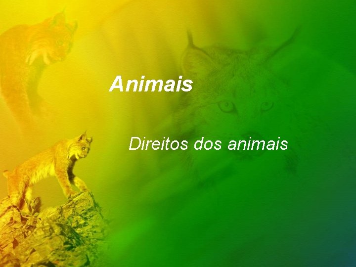 Animais Direitos dos animais 