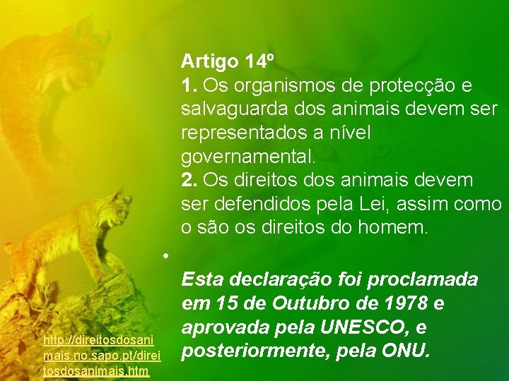 Artigo 14º 1. Os organismos de protecção e salvaguarda dos animais devem ser representados