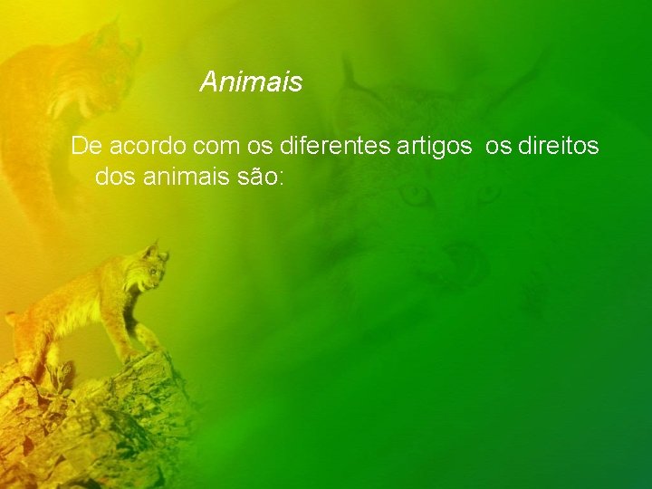 Animais De acordo com os diferentes artigos os direitos dos animais são: 