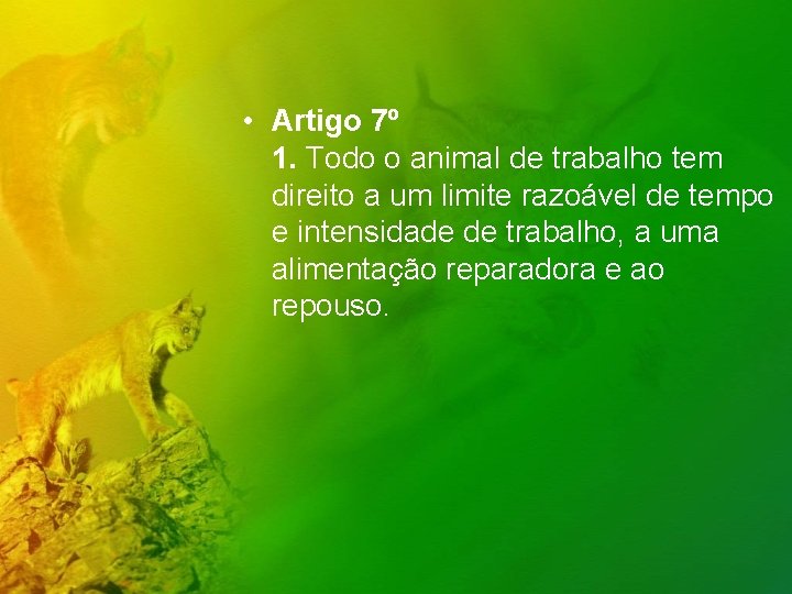  • Artigo 7º 1. Todo o animal de trabalho tem direito a um