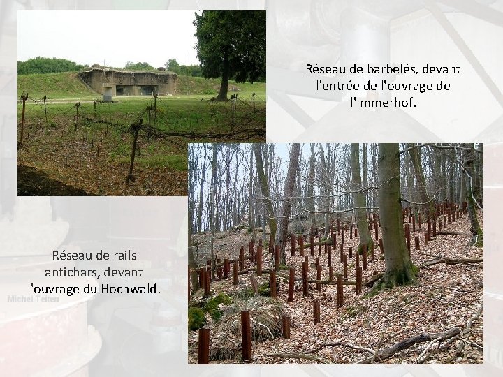 Réseau de barbelés, devant l'entrée de l'ouvrage de l'Immerhof. Réseau de rails antichars, devant Réseau de barbelés, devant l'entrée de l'ouvrage de l'Immerhof. Réseau de rails antichars, devant