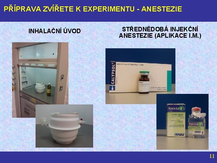 PŘÍPRAVA ZVÍŘETE K EXPERIMENTU - ANESTEZIE INHALAČNÍ ÚVOD STŘEDNĚDOBÁ INJEKČNÍ ANESTEZIE (APLIKACE I. M.