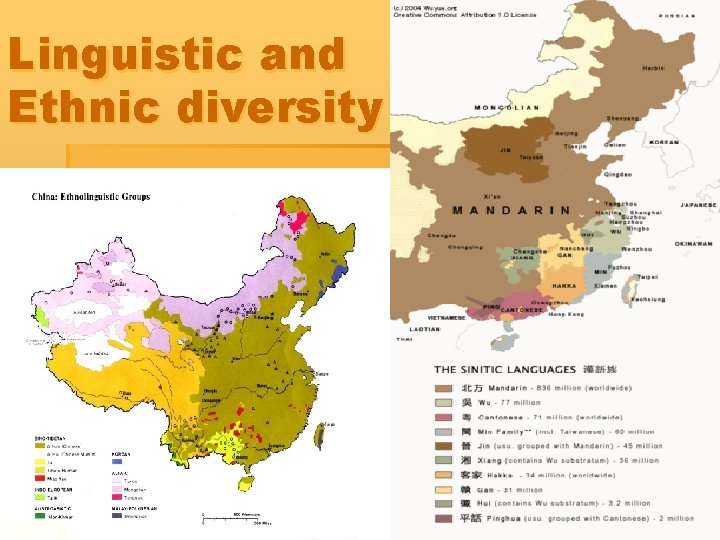 Linguistic and Ethnic diversity 