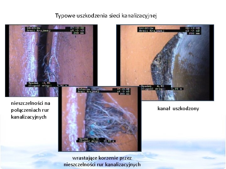 Typowe uszkodzenia sieci kanalizacyjnej nieszczelności na połączeniach rur kanalizacyjnych kanał uszkodzony wrastające korzenie przez