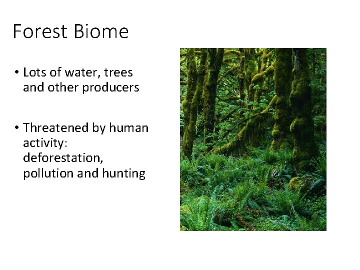 Forest Biome • Lots of water, trees and other producers • Threatened by human