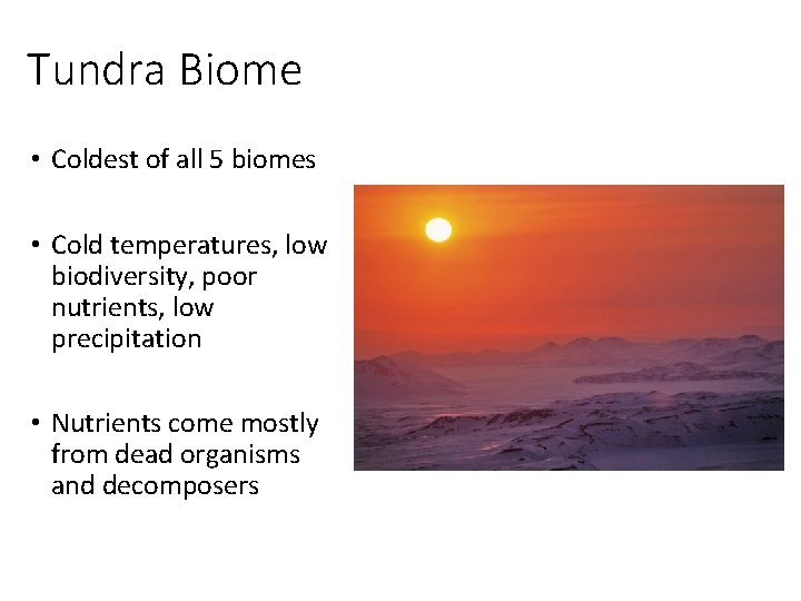 Tundra Biome • Coldest of all 5 biomes • Cold temperatures, low biodiversity, poor