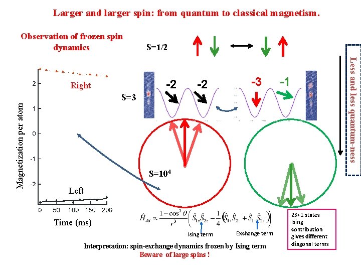 Larger and larger spin: from quantum to classical magnetism. Observation of frozen spin dynamics