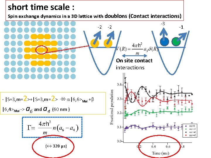 short time scale : Spin exchange dynamics in a 3 D lattice with doublons