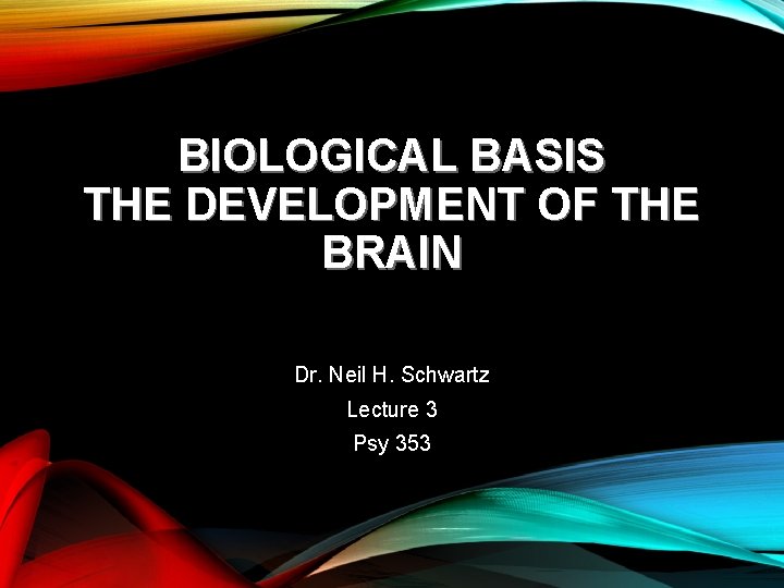 BIOLOGICAL BASIS THE DEVELOPMENT OF THE BRAIN Dr. Neil H. Schwartz Lecture 3 Psy