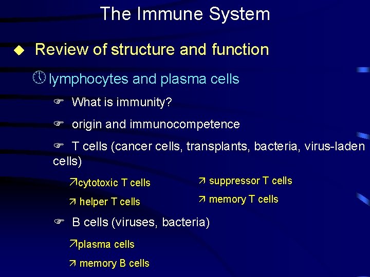 The Immune System u Review of structure and function » lymphocytes and plasma cells