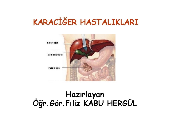 KARACİĞER HASTALIKLARI Hazırlayan Öğr. Gör. Filiz KABU HERGÜL 