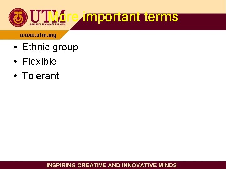 More important terms • Ethnic group • Flexible • Tolerant 