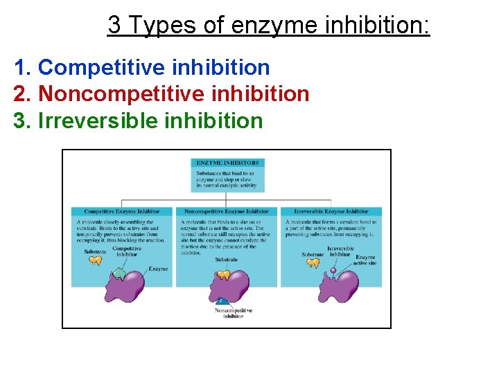 3 Types of enzyme inhibition: 1. Competitive inhibition 2. Noncompetitive inhibition 3. Irreversible inhibition