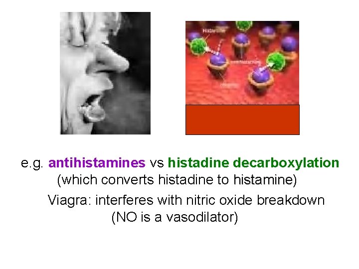 e. g. antihistamines vs histadine decarboxylation (which converts histadine to histamine) histamine Viagra: interferes