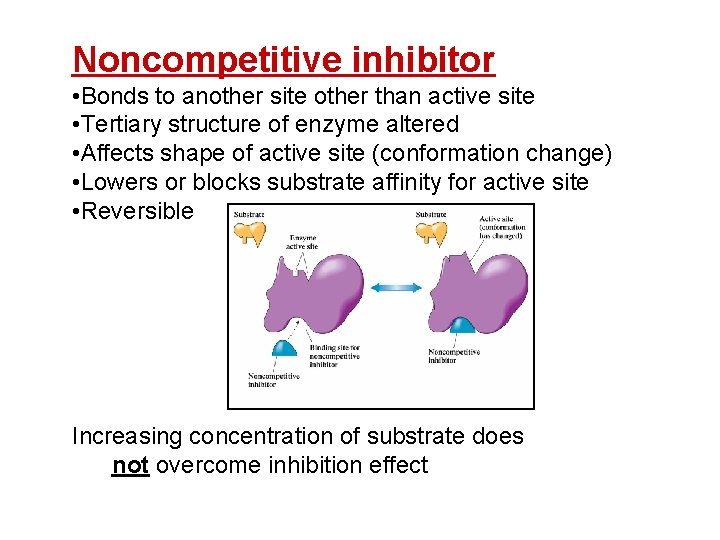 Noncompetitive inhibitor • Bonds to another site other than active site • Tertiary structure