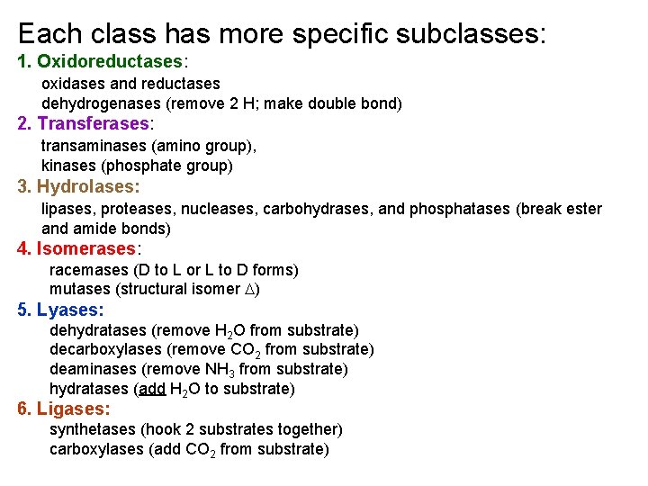 Each class has more specific subclasses: 1. Oxidoreductases: oxidases and reductases dehydrogenases (remove 2