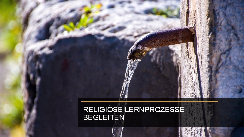 RELIGIÖSE LERNPROZESSE BEGLEITEN 