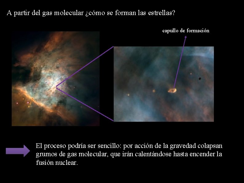 A partir del gas molecular ¿cómo se forman las estrellas? capullo de formación El