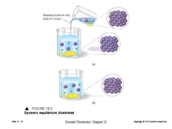 FIGURE 15 -2 Dynamic equilibrium illustrated Slide 15 - 10 General Chemistry: Chapter 15