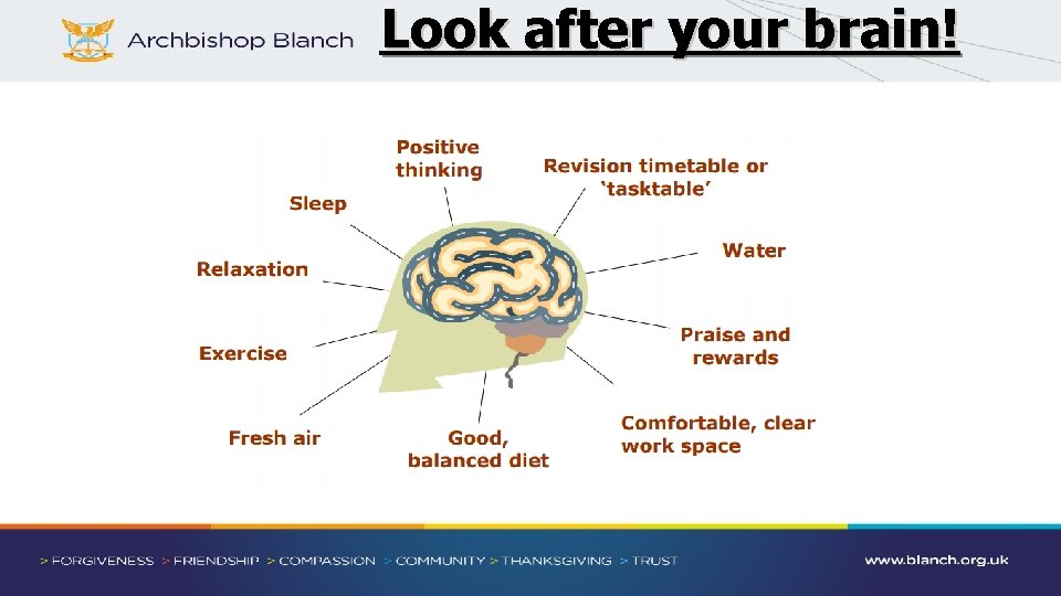 Look after your brain! 