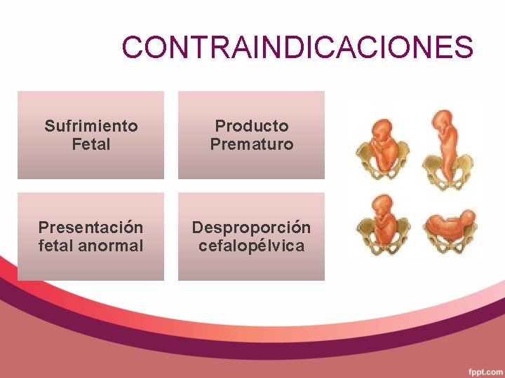 CONTRAINDICACIONES Sufrimiento Fetal Producto Prematuro Presentación fetal anormal Desproporción cefalopélvica 