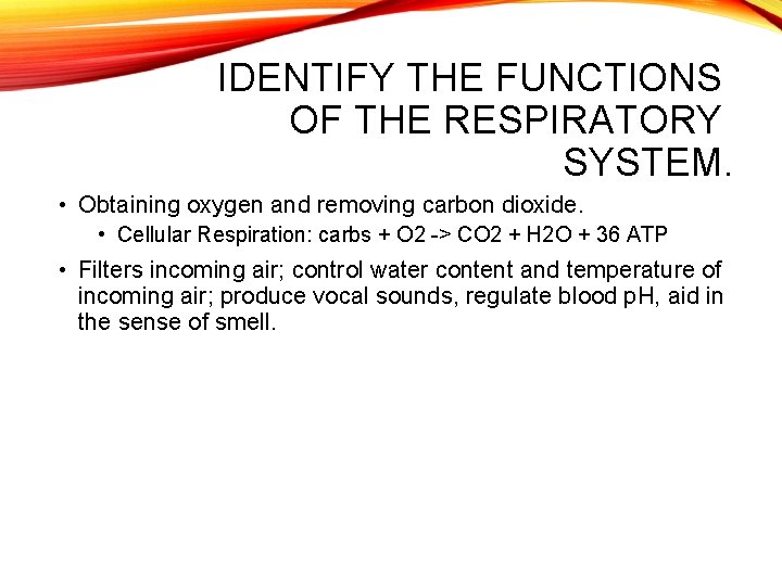 IDENTIFY THE FUNCTIONS OF THE RESPIRATORY SYSTEM. • Obtaining oxygen and removing carbon dioxide.