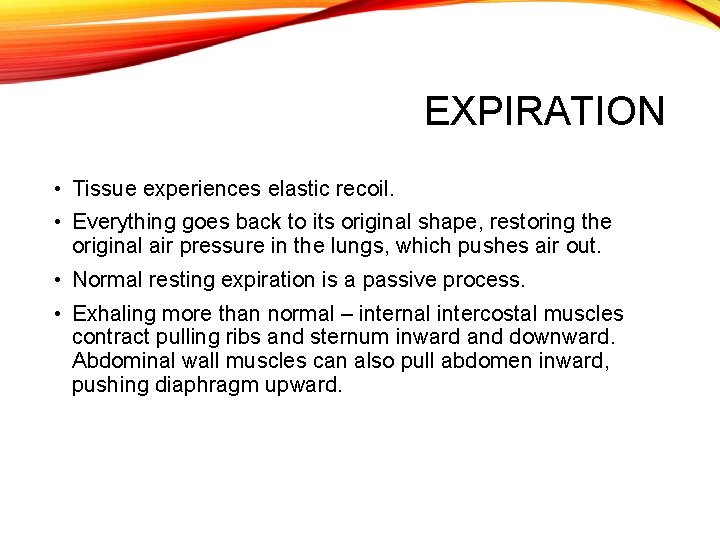 EXPIRATION • Tissue experiences elastic recoil. • Everything goes back to its original shape,
