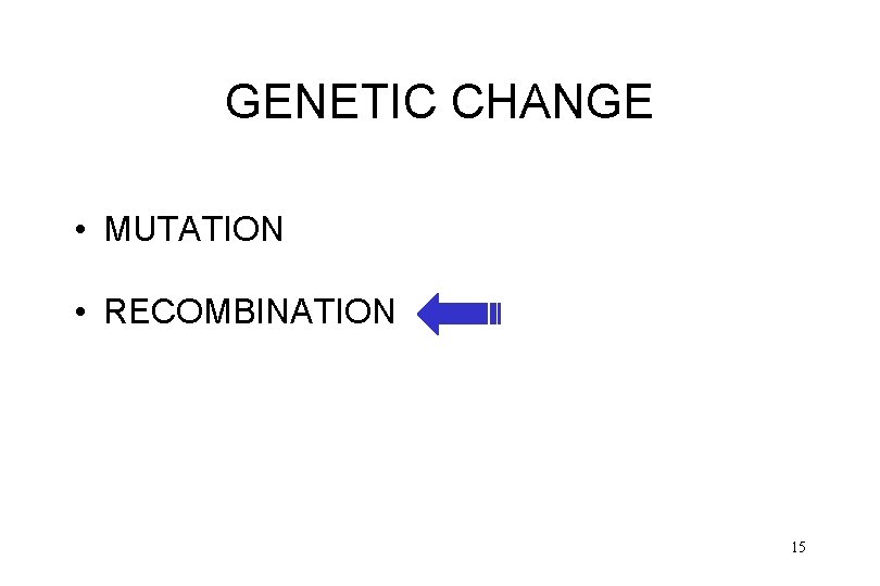 GENETIC CHANGE • MUTATION • RECOMBINATION 15 