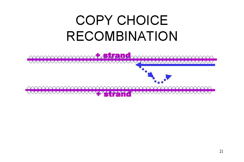 COPY CHOICE RECOMBINATION 21 