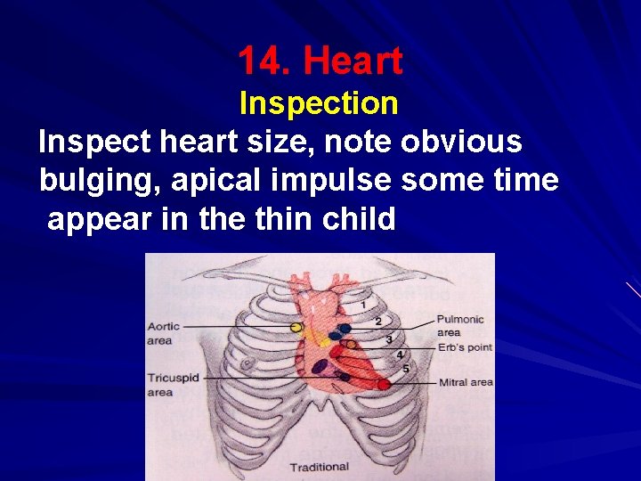 14. Heart Inspection Inspect heart size, note obvious bulging, apical impulse some time appear