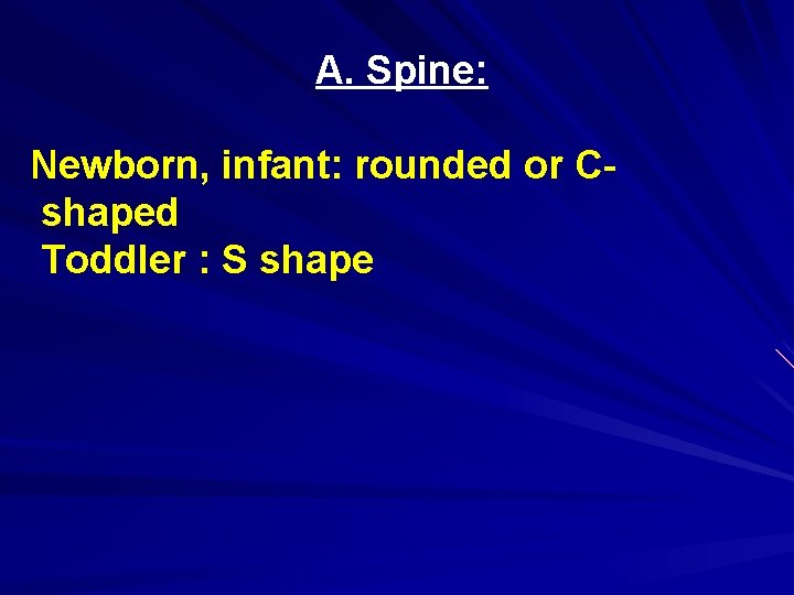 A. Spine: Newborn, infant: rounded or Cshaped Toddler : S shape 