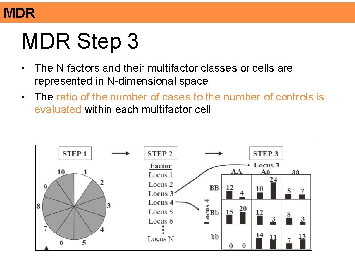 MDR Step 3 • The N factors and their multifactor classes or cells are