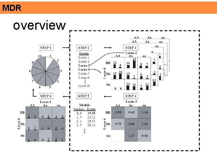 MDR overview 