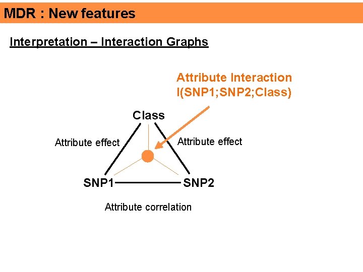 MDR : New features Interpretation – Interaction Graphs Attribute Interaction I(SNP 1; SNP 2;