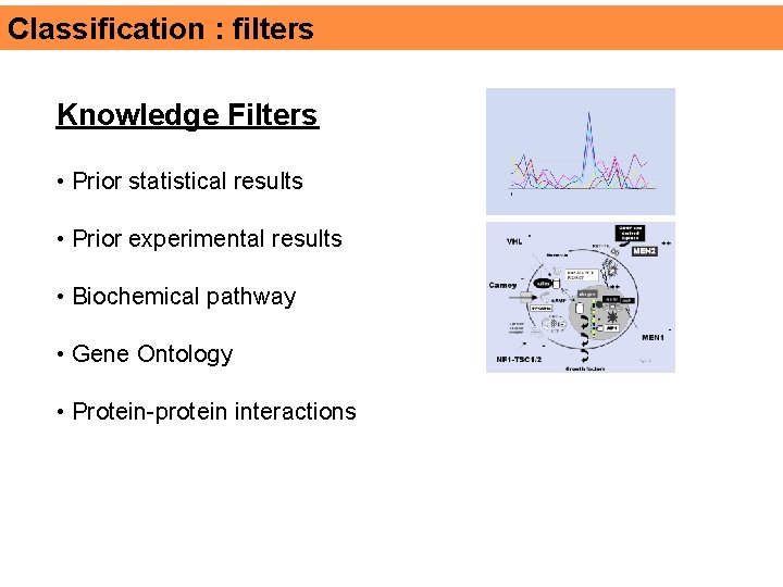 Classification : filters Knowledge Filters • Prior statistical results • Prior experimental results •