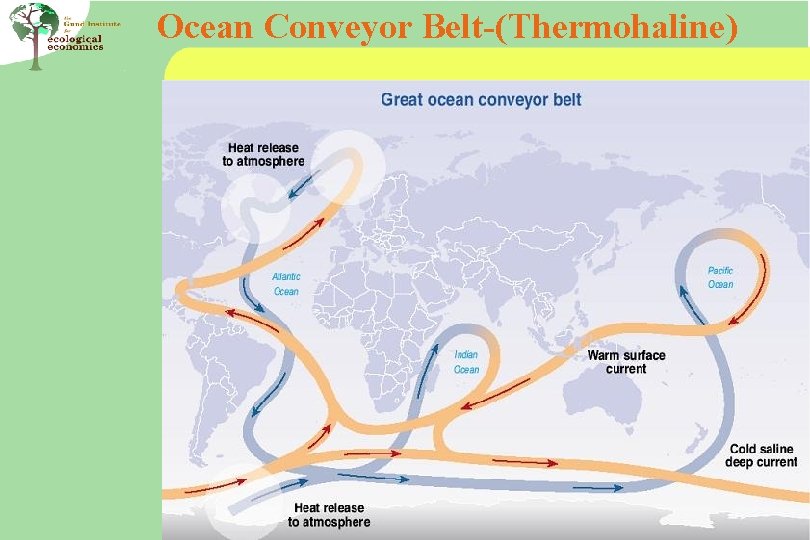 Ocean Conveyor Belt-(Thermohaline) 