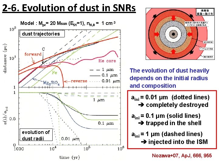 2 -6. Evolution of dust in SNRs Model : Mpr= 20 Msun (E 51=1),