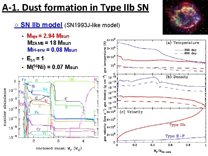 A-1. Dust formation in Type IIb SN ○ SN IIb model (SN 1993 J-like