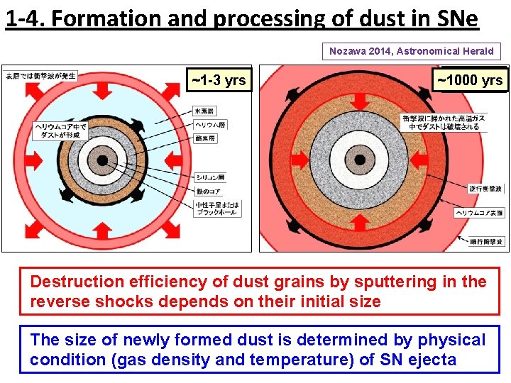 1 -4. Formation and processing of dust in SNe Nozawa 2014, Astronomical Herald ~1